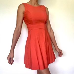 Beautiful Salmon BCX Dress done with amazing thick elastic fabric